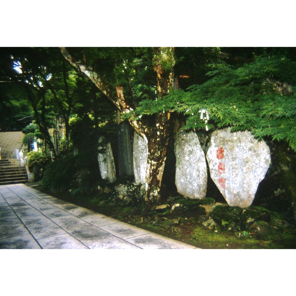1980s 35mm Slide Tokyo Japan Pics, walking path within a serene Japanese temple